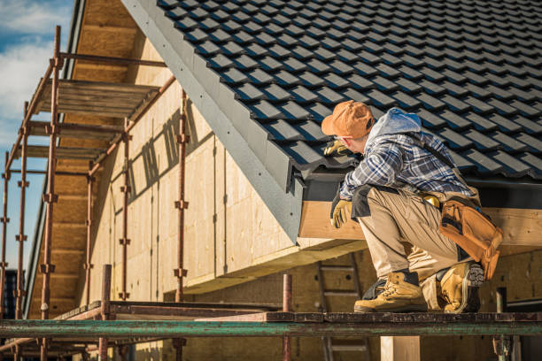 Best Residential Roof Replacement  in Christopher, IL