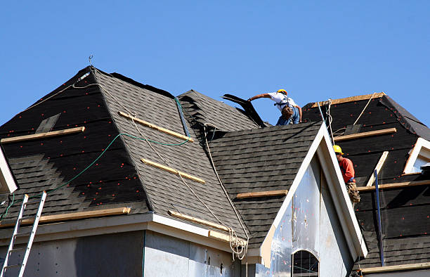 Best Storm Damage Roof Repair  in Christopher, IL